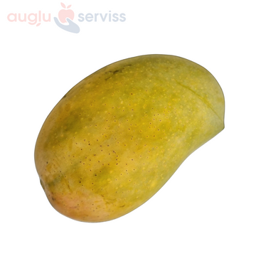 Mango "KESAR"  dabīgi nogatavināts, IZCILS PRODUKTS, Indija (mērvienība: gb)