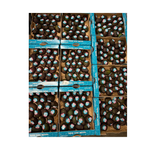 Avokado nogatavināts Eat Me kaste (24 gab / 3,5-4 kg), Peru (mērvienība: kaste)