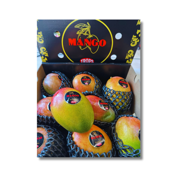 Mango KENT dabīgi nogatavojies, Peru, IZCILS PRODUKTS (mērvienība: gb)