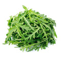 Salāti Rukola 100gr  1.šķira ( nemazgāti ), Itālija  (mērvienība: gb)