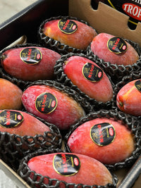 Mango dabīgi nogatavināts Osteen, 1.šķira, Spānija  (mērvienība: gb)