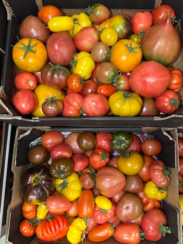Tomāti dažādu šķirņu (6kg kaste) mikss, 1.šķira, Latvija  (mērvienība: kaste)