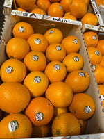 Apelsīni Cambria BOLLO 2/3kal 1.šķira, Dienvidāfrika,  IZCILS PRODUKTS (mērvienība: kg)