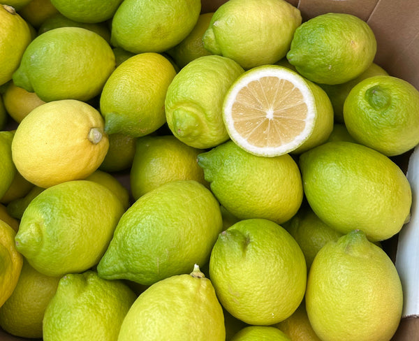 Citroni Primofiori 3/4kal 2.šķira, Itālija  (mērvienība: kg)