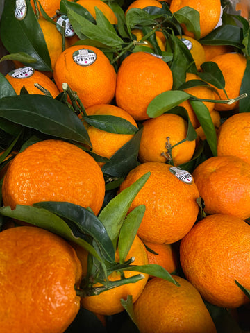 Mandarīni ar lapām Oronules BOLLO, 1.šķira, Spānija, IZCILS PRODUKTS (mērvienība: kg)