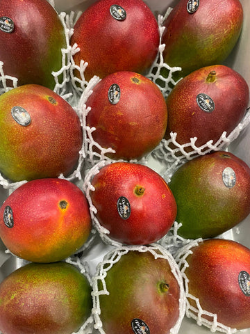 Mango KENT dabīgi nogatavojies, Brazīlija, IZCILS PRODUKTS (mērvienība: gb)