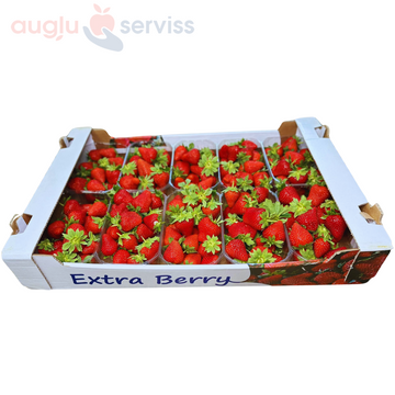 Augļu kaste Zemenes 5kg, Polija  (mērvienība: gb)