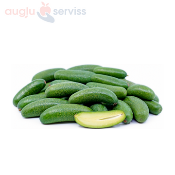 Avokado kokteiļu ( bez kauliņa ) 1.šķira, Spānija (mērvienība: gb)