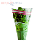 Baziliks podiņos (zaļais)  "DIŽSKUDRAS" 1.šķira LATVIJA  (mērvienība: gb)