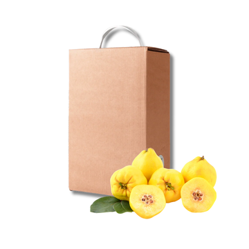 Sīrups cidoniju 5kg Very Berry, Latvija  (mērvienība: gb)