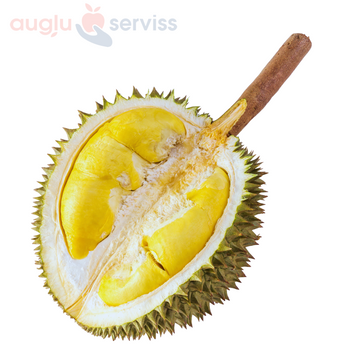 DURIANS (Durian)  1.šķira, Vjetnama (mērvienība: gb)