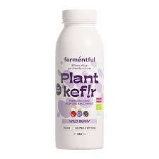 BIO fermentēts dzēriens no zaļajiem griķiem, meža ogu, 330ml, Fermentful (mērvienība: gb)