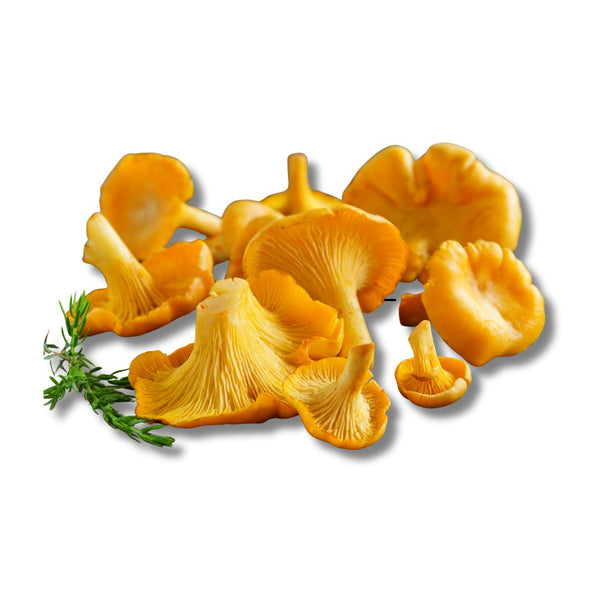 Sēnes Gailenes sveramas, 2.šķira, Latvija  (mērvienība: kg)