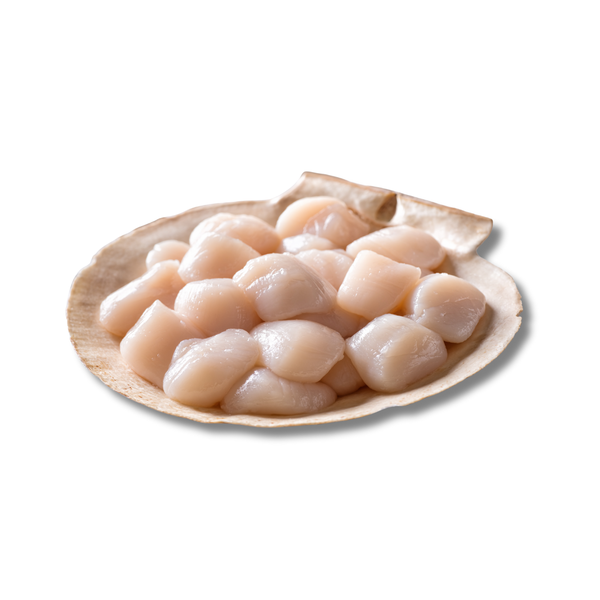 Jūras ķemmīšu gaļa Premium 10/20, 1kg kastē, saldēta, Lielbritānija  (mērvienība: gb)