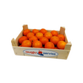 Mandarīni fas. kastītēs 2.3kg (lielāks izmērs)   1.šķira , Spānija (mērvienība: gb)