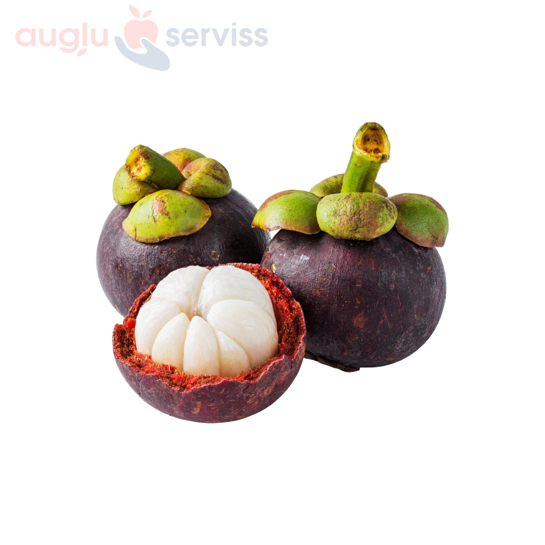 Mangustīns (Mangostāns) , Kolumbija (mērvienība: gb) | Augļu Serviss