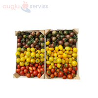 Tomāti mini ķiršu mix apm.1 kg kaste, 1.šķira, Latvija  (mērvienība: kg)