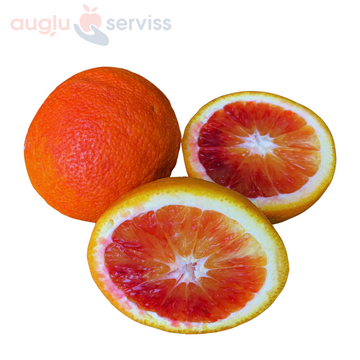 Apelsīni sarkanie Moro 1.šķira , Itālija (Sicīlija) (mērvienība: kg)