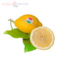 Citroni Primofiori , Itālija (Sicīlija)  (mērvienība: kg)