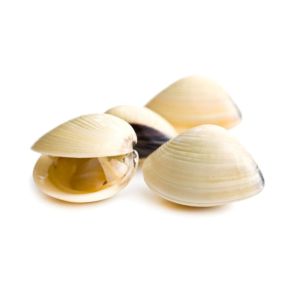Mīdijas Vangole 1kg, saldētas, Nīderlande  (mērvienība: gb)