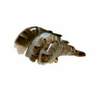 Tīģergarneles bez galvas ar asti un čaulu, iegrieztas 13/15 saldētas 1kg, Indija IZTIRGOŠANA ( (mērvienība: gb)
