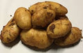 Kartupeļi Spunta jaunā raža, 10 kg MAISS 1.šķira, Ēģipte  (mērvienība: maiss)