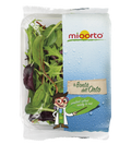 Salāti Orientel Mix 100g  1.šķira (mazgāti) Mioorto (mērvienība: gb)