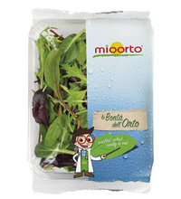 Salāti Orientel Mix 100g  1.šķira (mazgāti) Mioorto (mērvienība: gb)